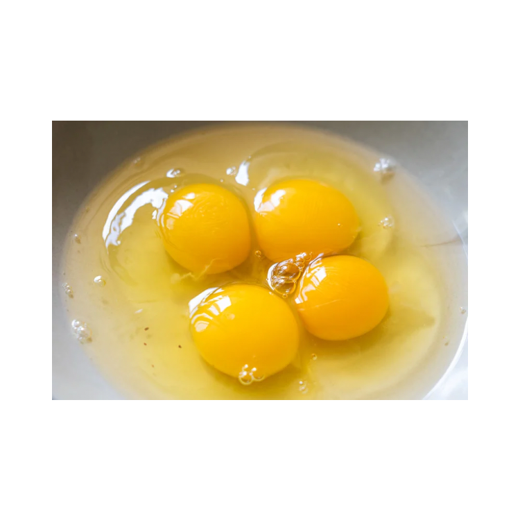 Copy of Copy of Untitled Design 7