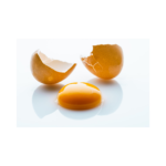 Copy of Copy of Untitled Design 8