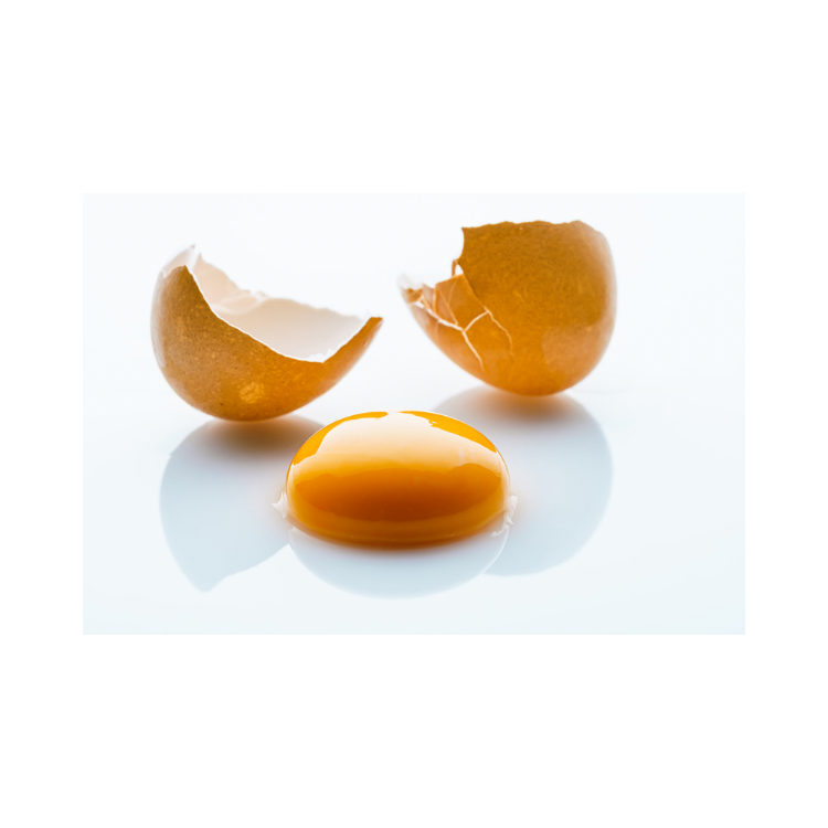 Copy of Copy of Untitled Design 8